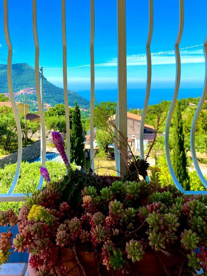 Residenze Maremonti Apartment Maratea Luaran gambar