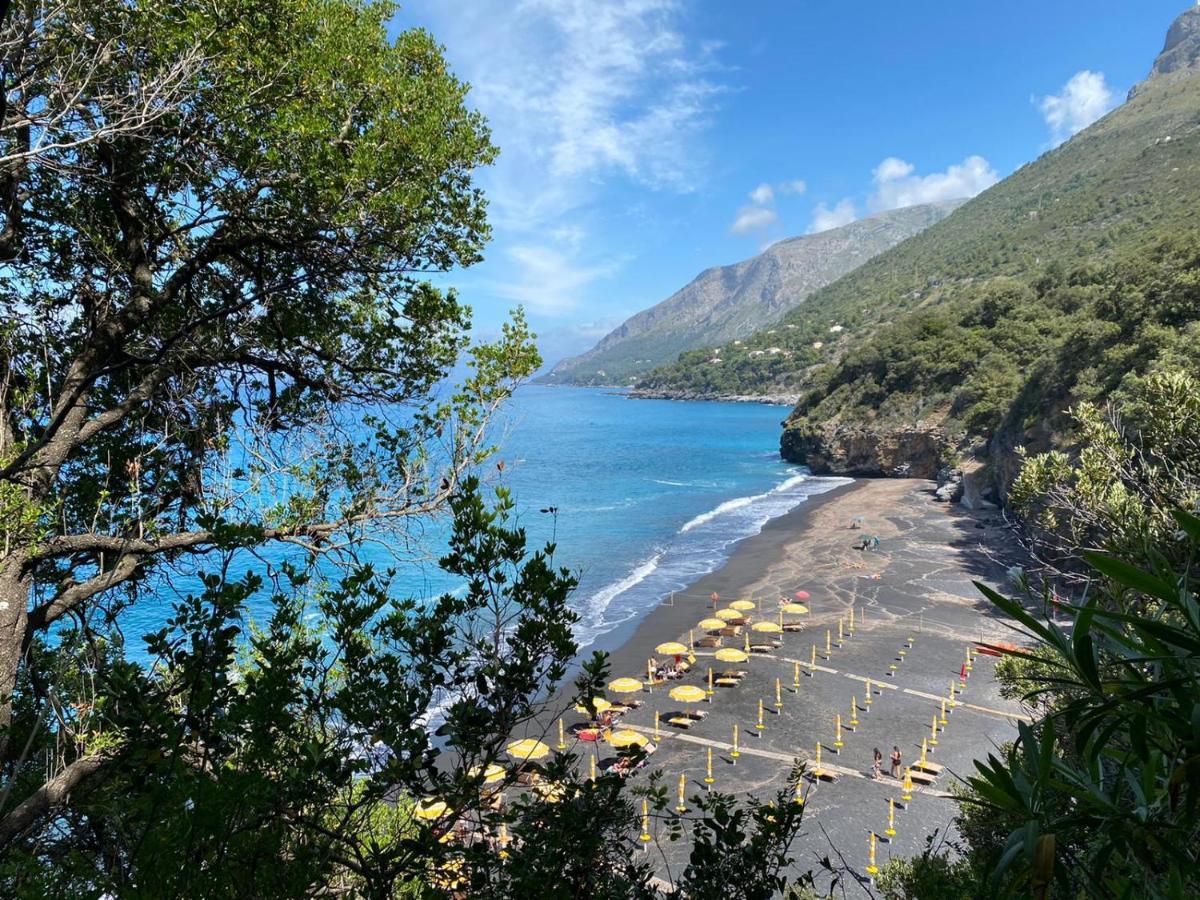 Residenze Maremonti Apartment Maratea Luaran gambar
